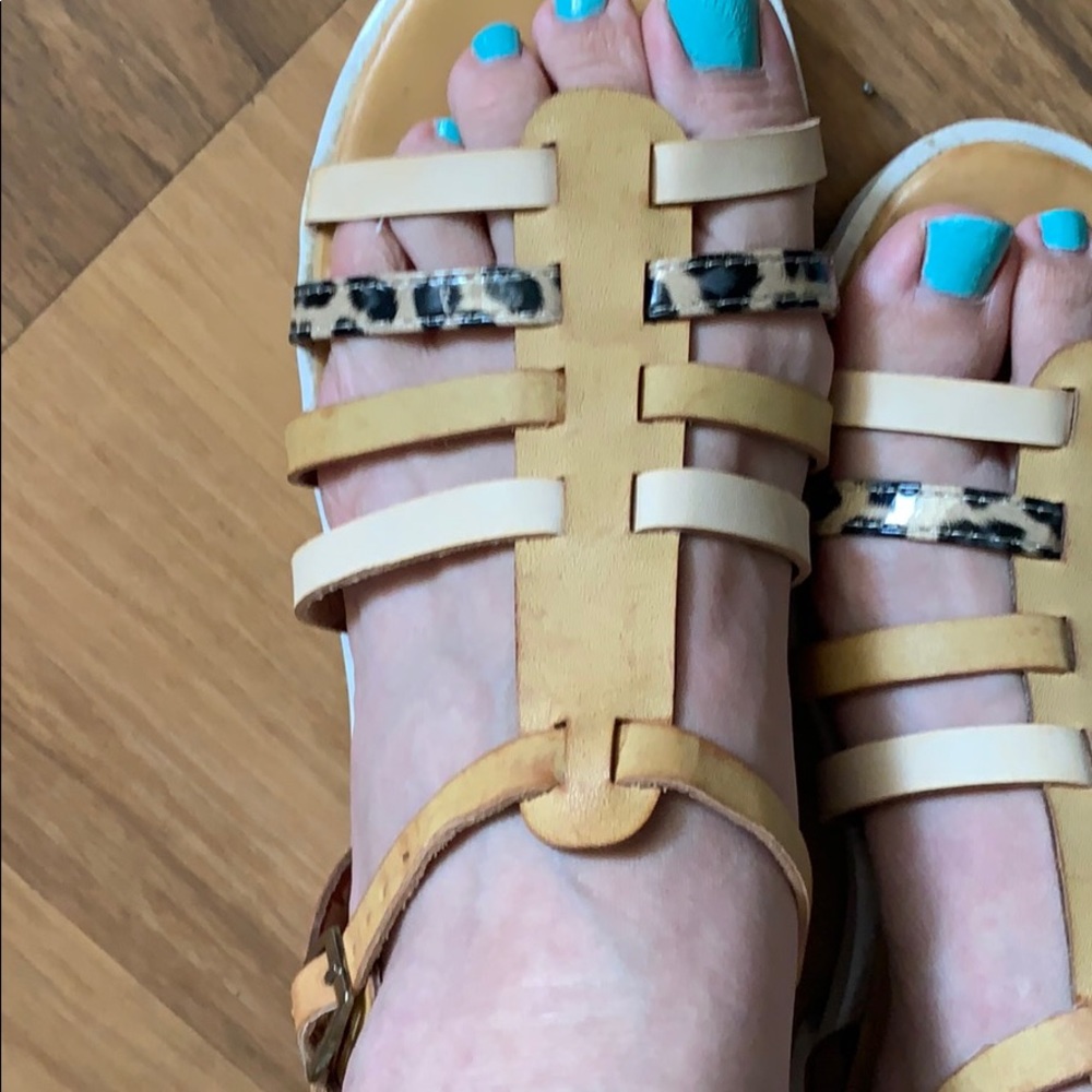 Bolaro Gladiator leaopard sandals - Picture 3 of 5